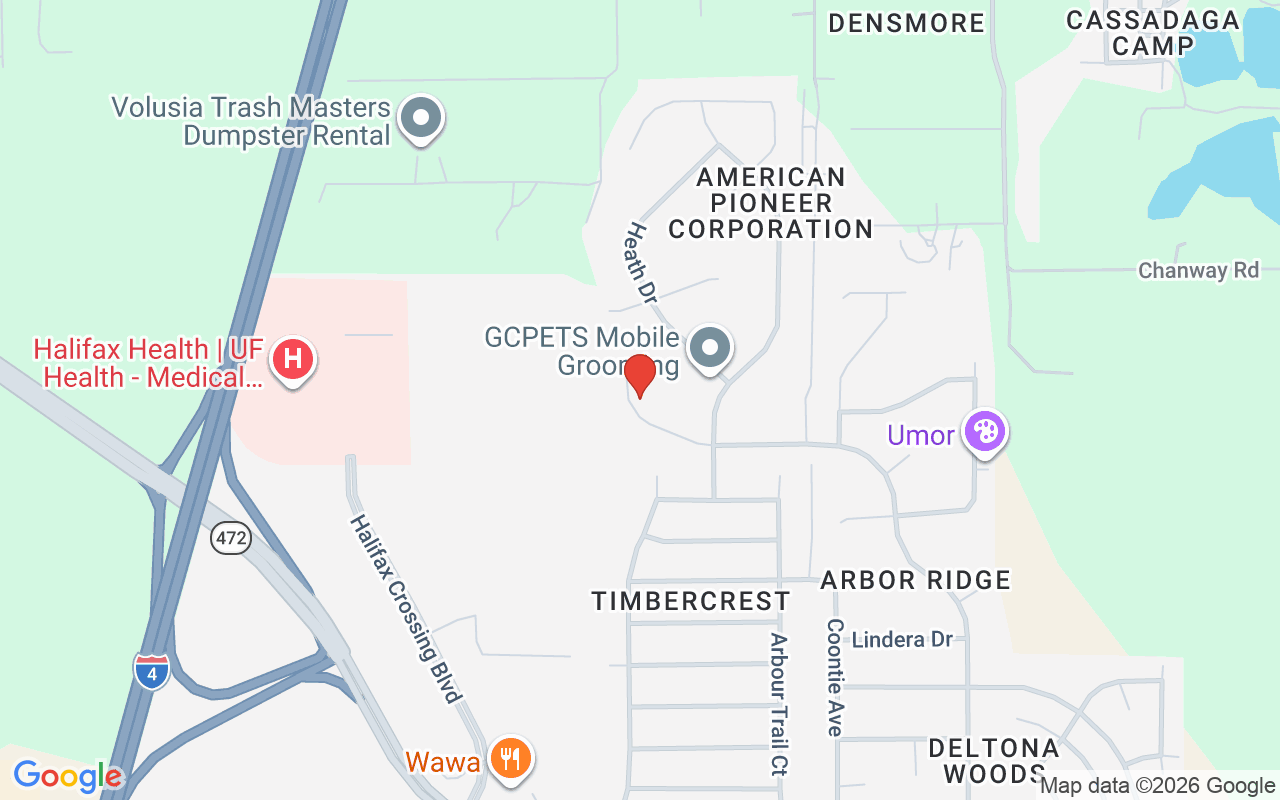 3270 Wild Pepper Court, Deltona, FL 32725