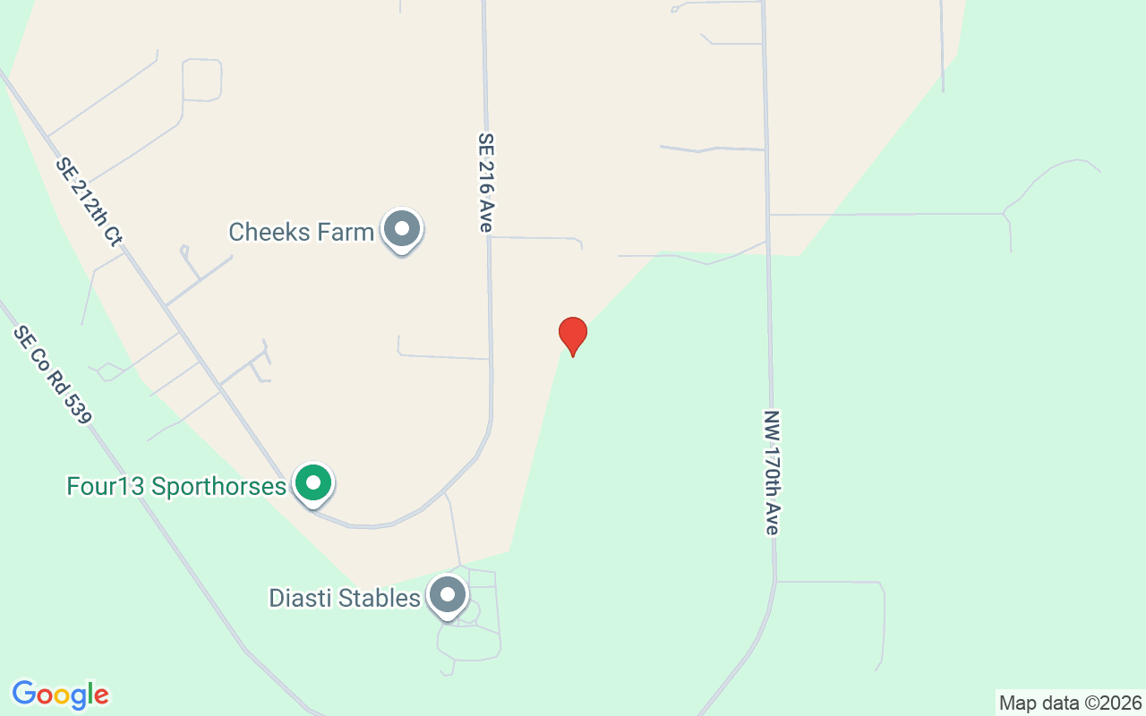 4951 216Th Avenue Se, Morriston, FL 32668