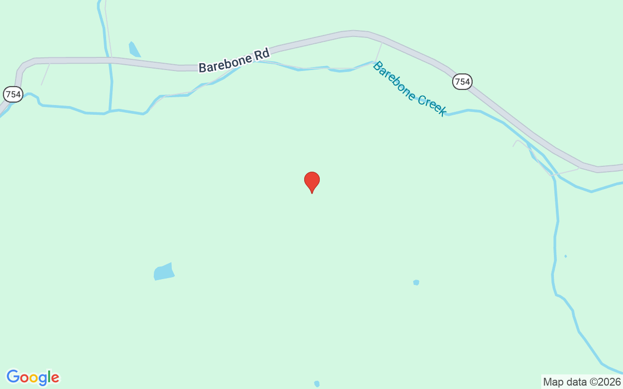 3397 Barebone Rd, Bedford, KY 40006