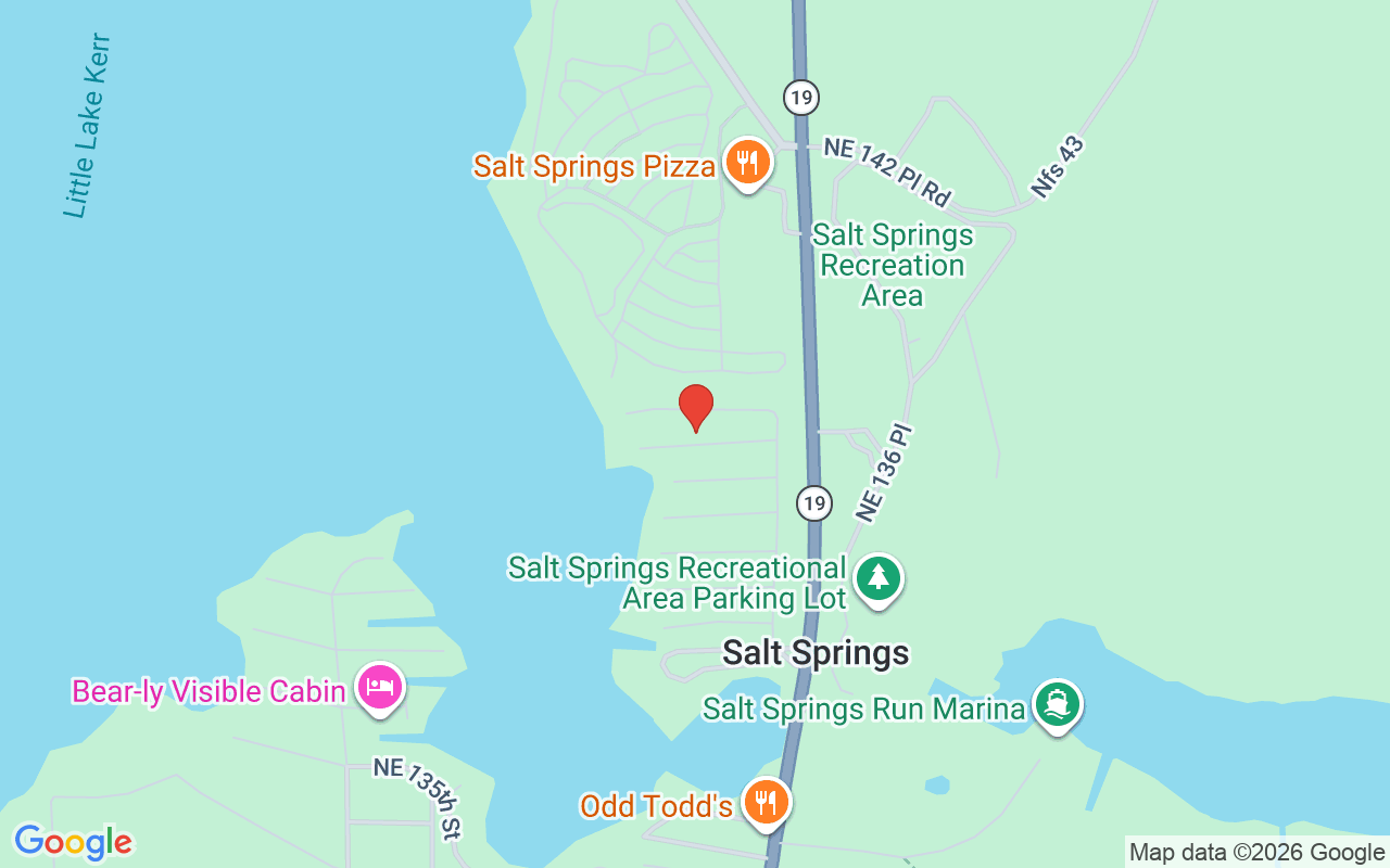 25225 Ne 139Th St, Salt Springs, FL 32134