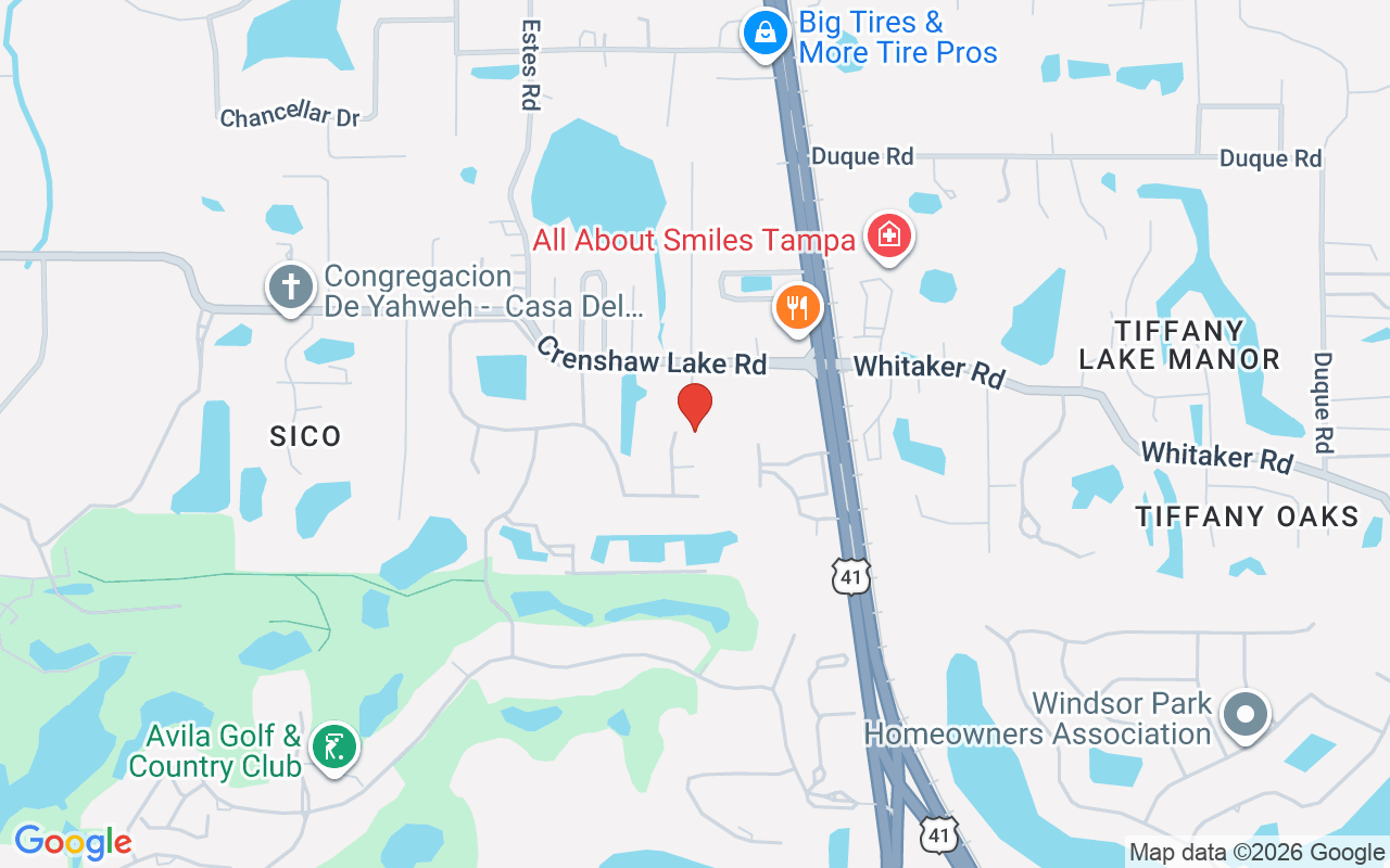 17005 Madres De Avila, Tampa, FL 33613