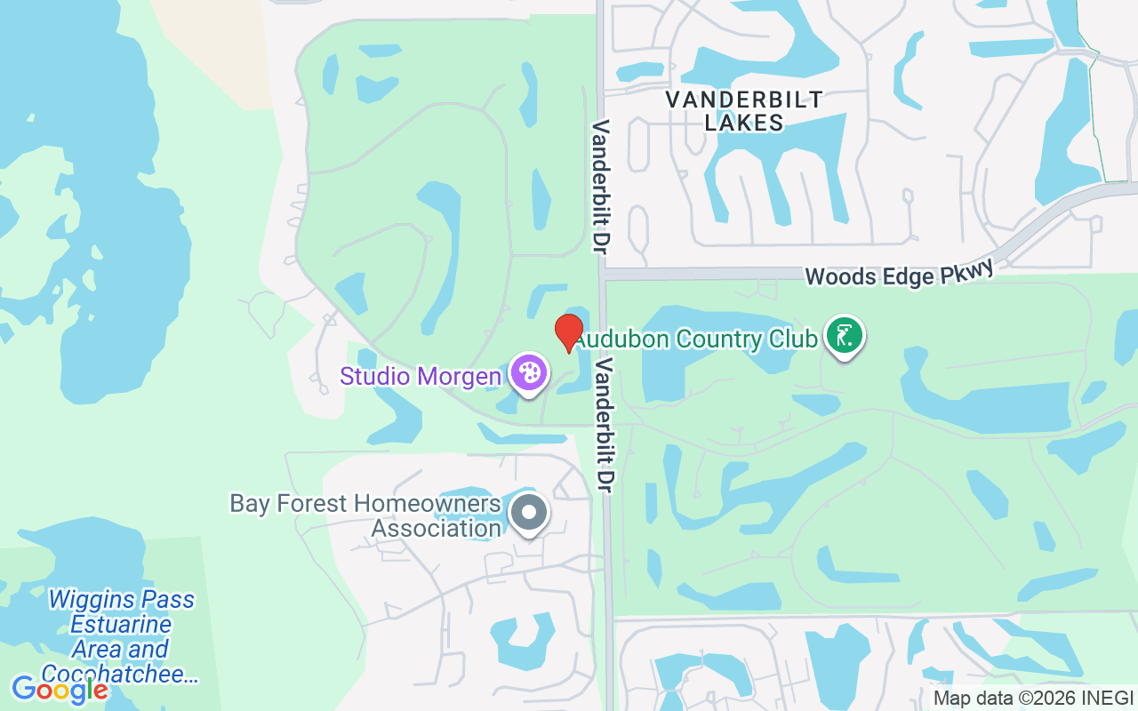 133 Greenfield Ct, Naples, FL 34110