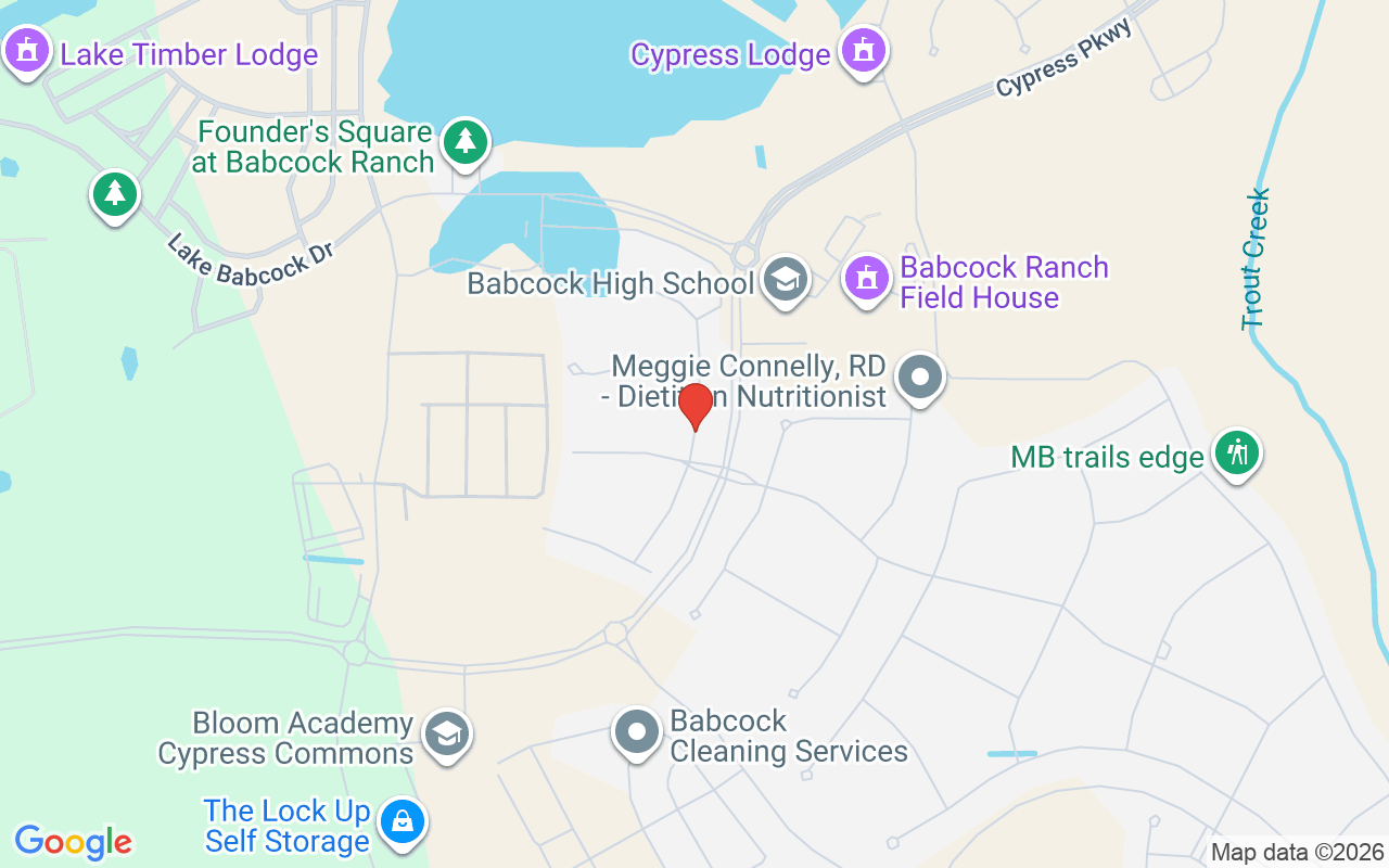 17672 Silverspur Dr, Punta Gorda, FL 33982