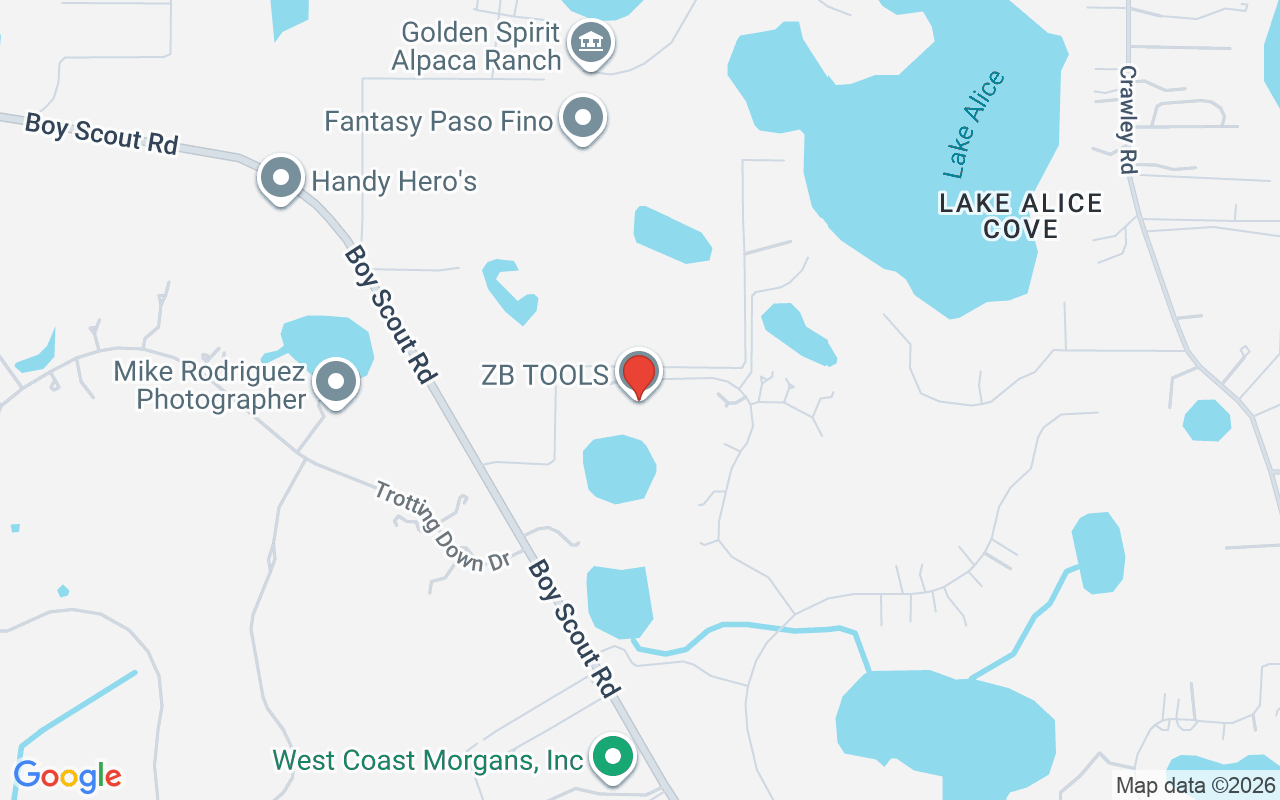 17336 Ballmont Park Drive, Odessa, FL 33556