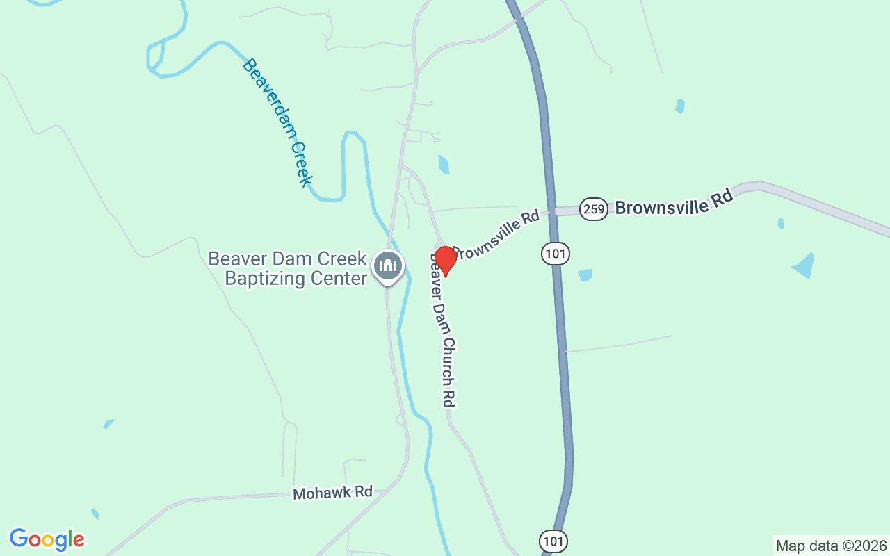 92 Beaver Dam Church Rd, Brownsville, KY 42210