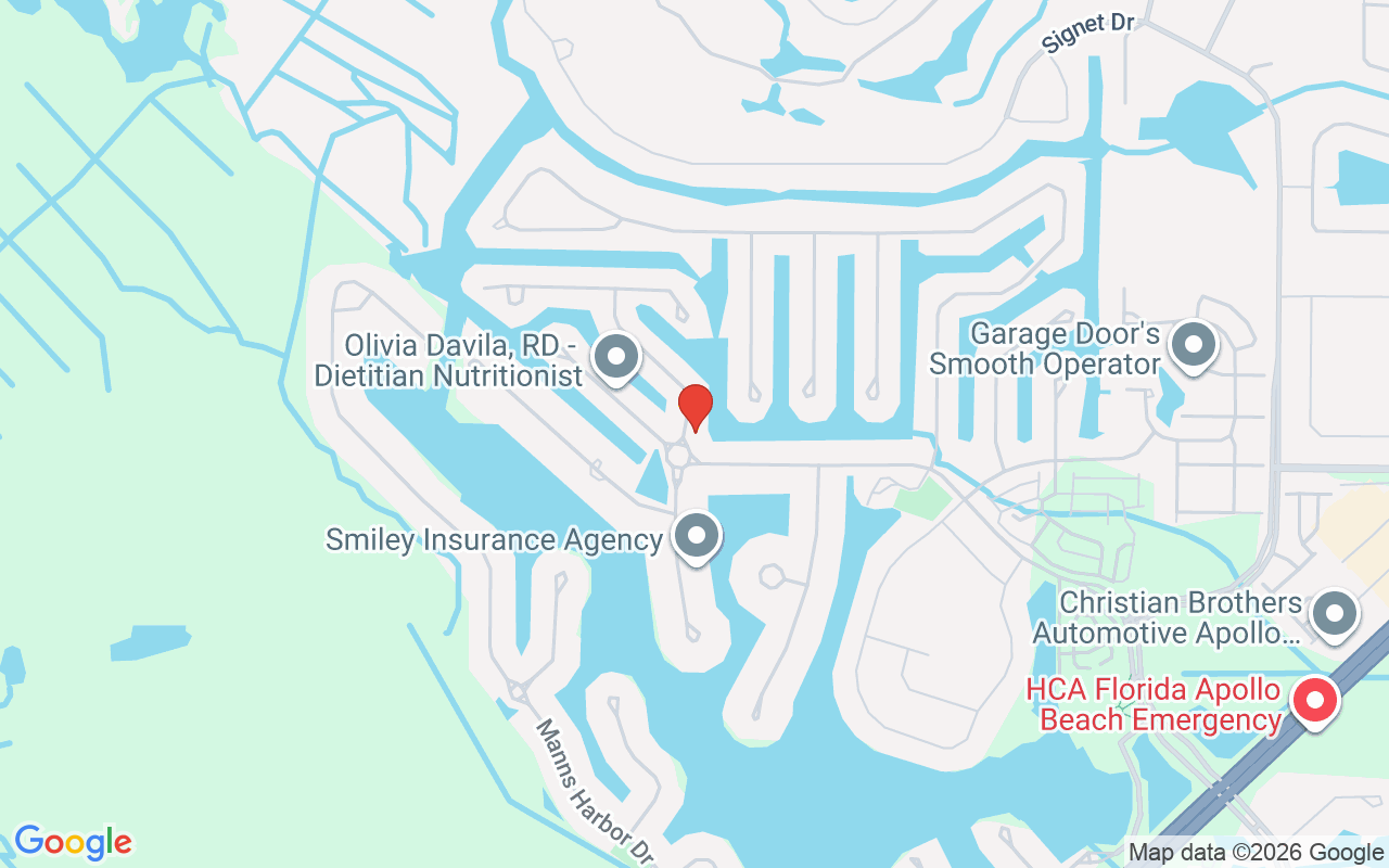 5603 Tybee Island Drive, Apollo Beach, FL 33572