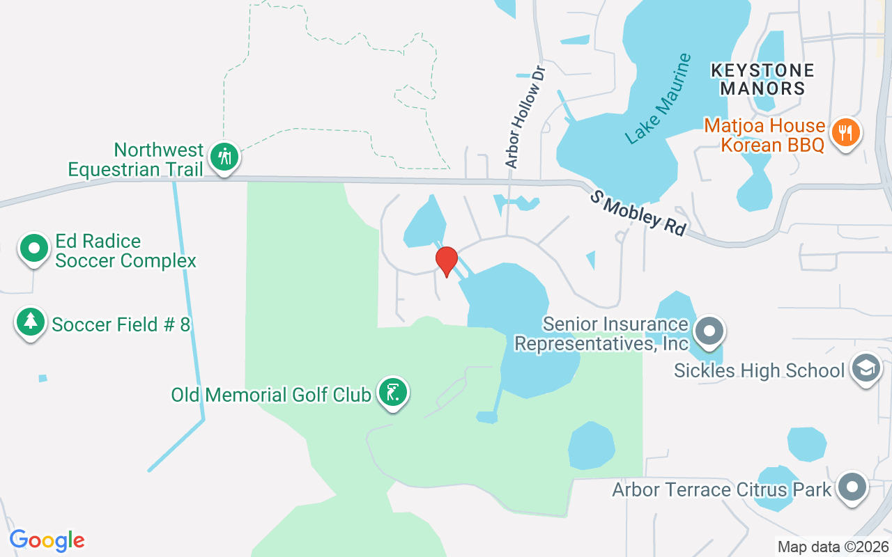 14811 Donald Ross Court, Tampa, FL 33626