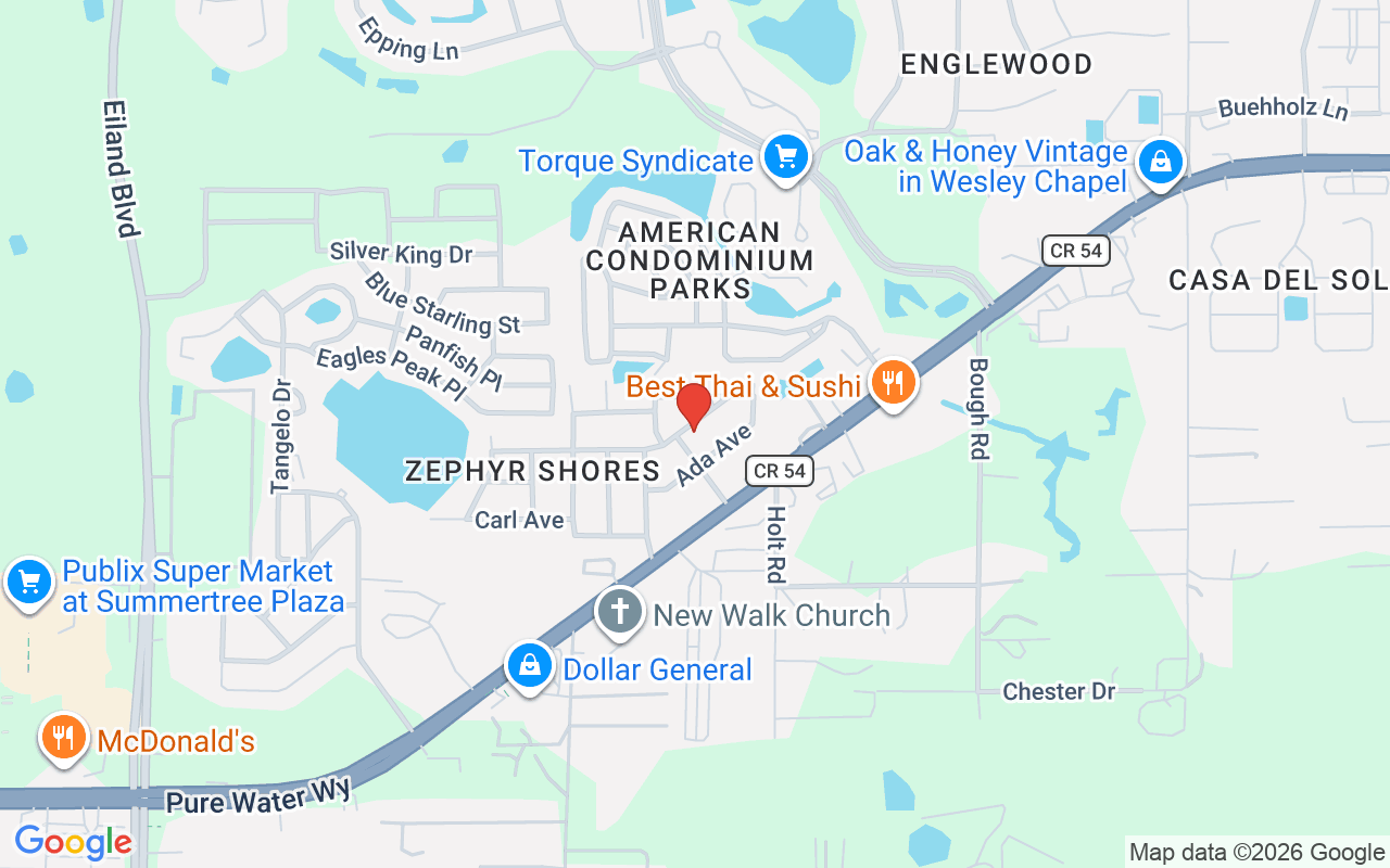 35132 Zephyr Shores Drive, Zephyrhills, FL 33541