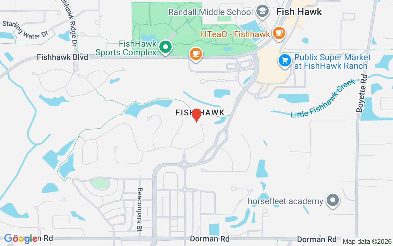 16220 Ternglade Drive, Lithia, FL 33547