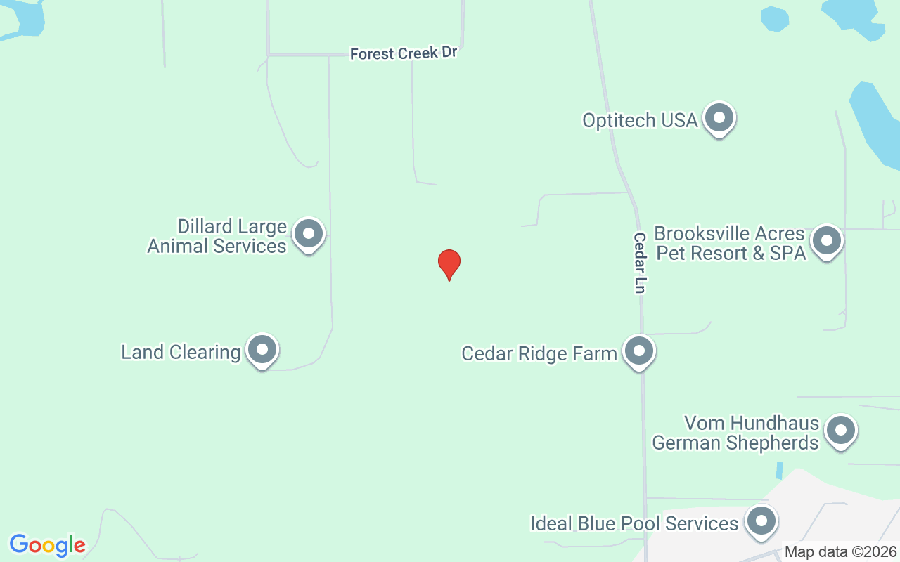 24050 Winding Creek Drive, Brooksville, FL 34601