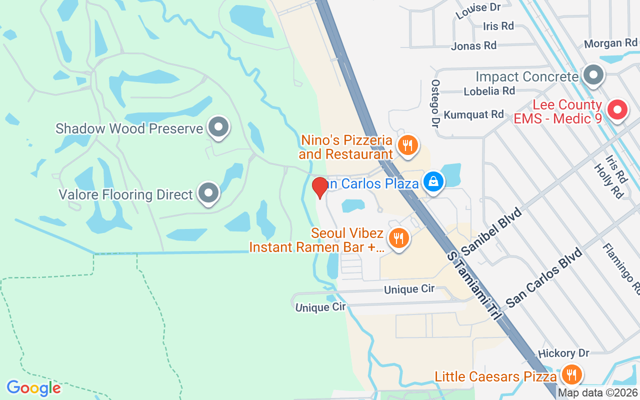 18900 Bay Woods Lake Dr #203, Fort Myers, FL 33908