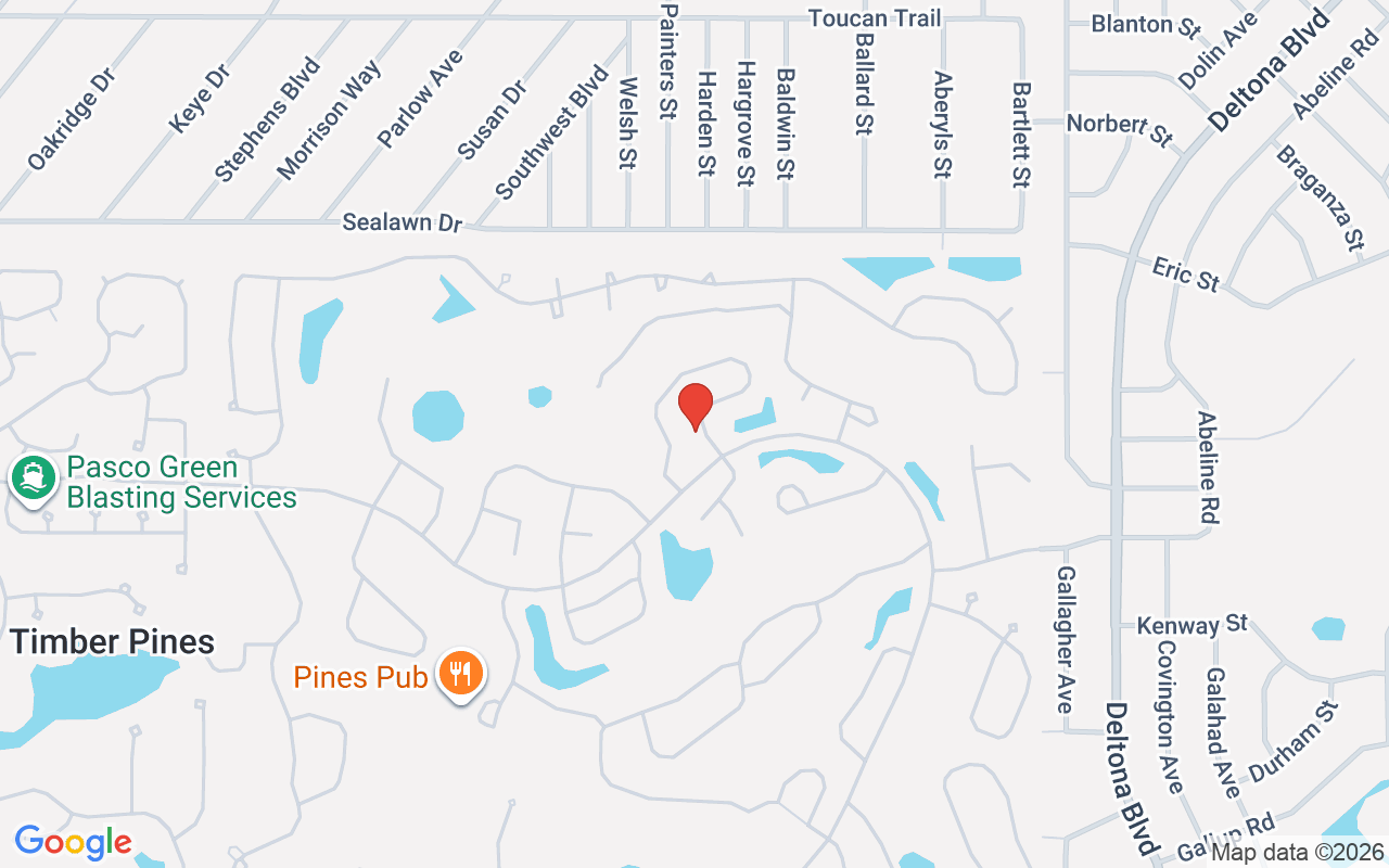 3208 Appleblossom Trail, Spring Hill, FL 34606