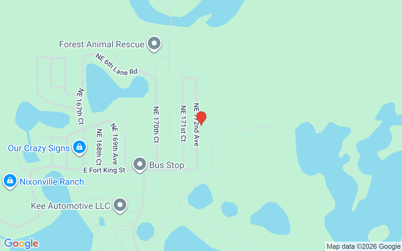 157 172Nd Avenue Ne, Silver Springs, FL 34488