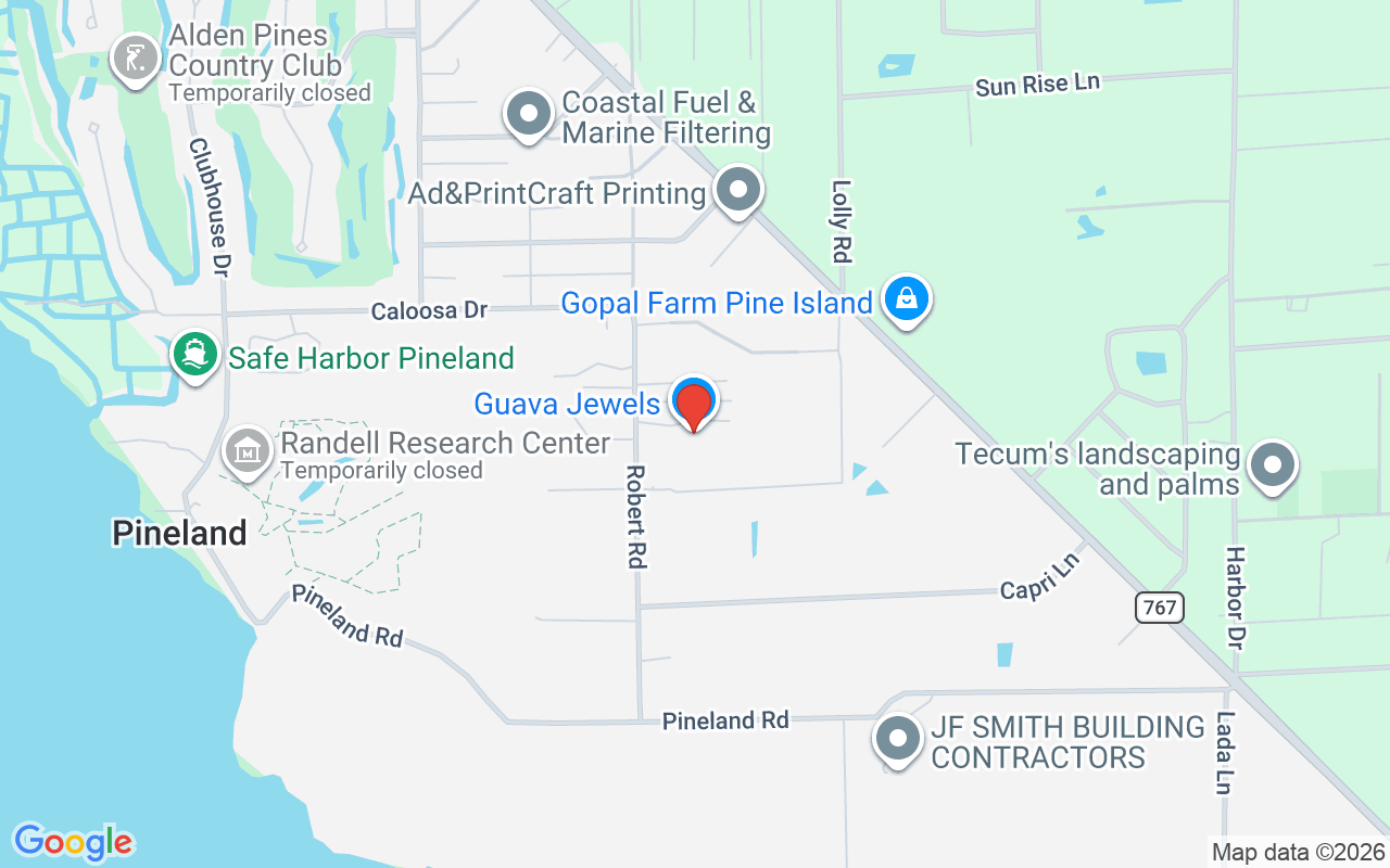 7201 Guava Ave, Bokeelia, FL 33922