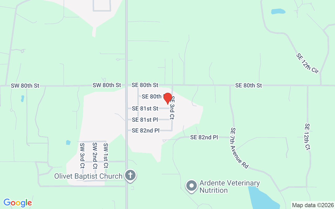 291 81St Street Se, Ocala, FL 34480