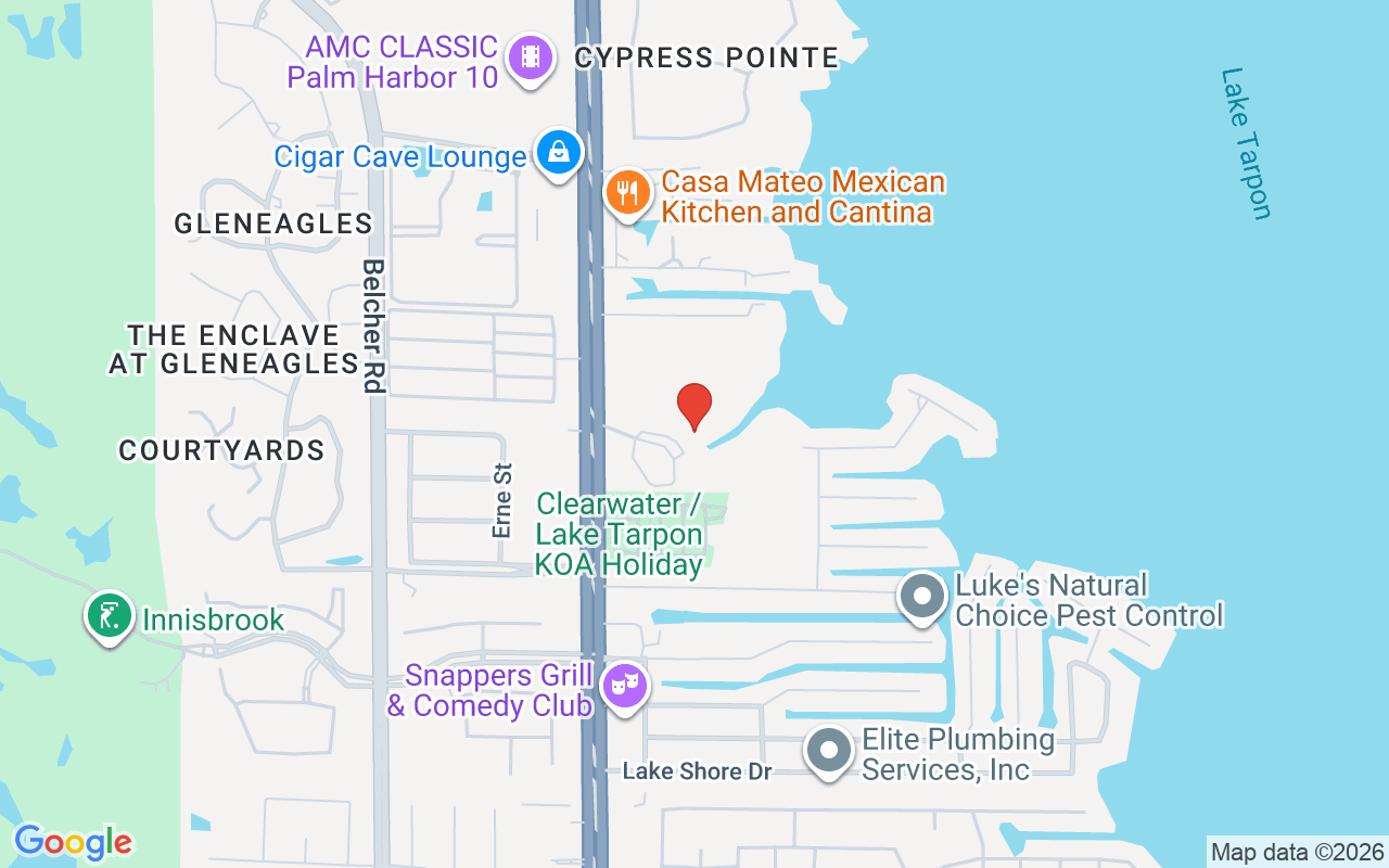 2599 Dolly Bay Drive #302, Palm Harbor, FL 34684