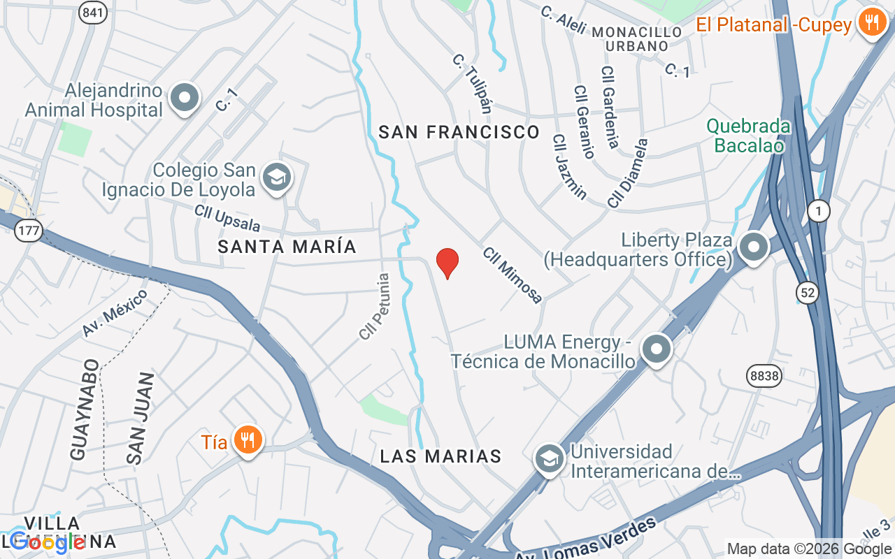 85 Orquidia, San Juan, PR 00927