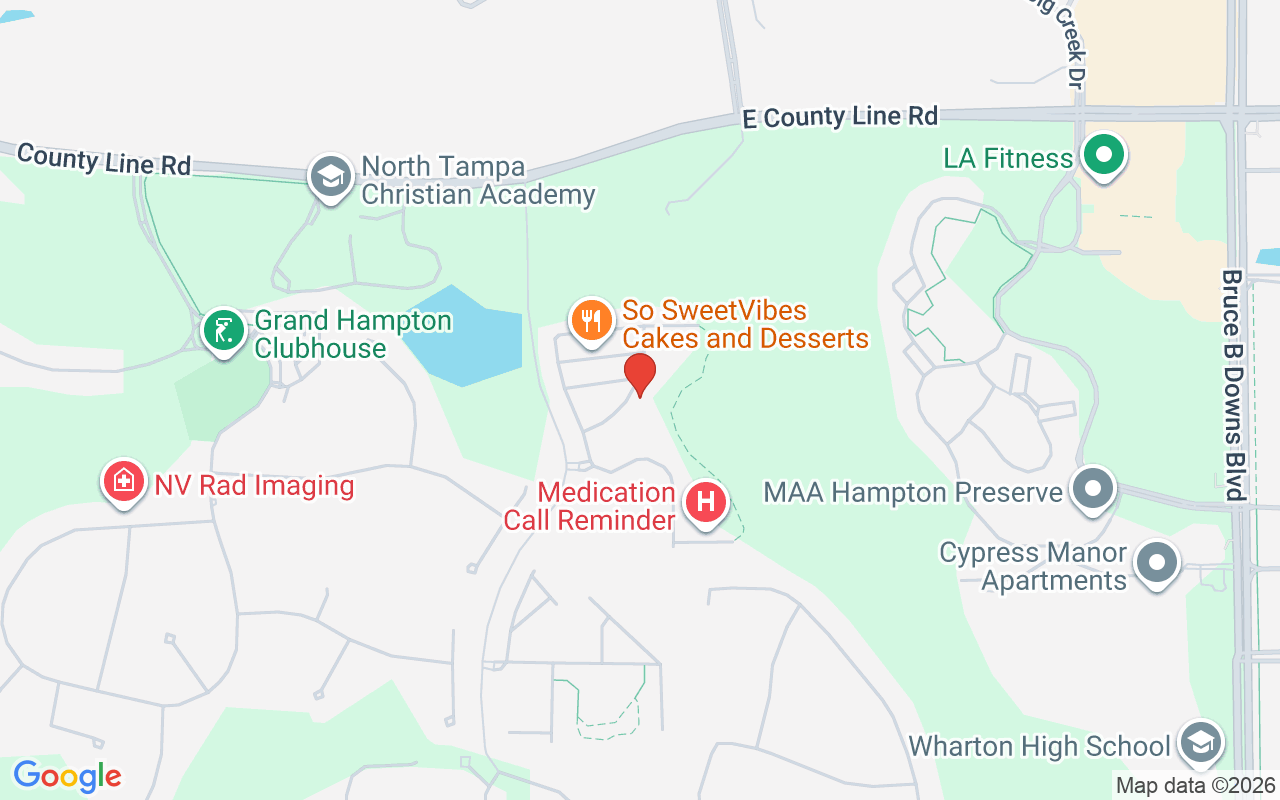 20439 Berrywood Lane, Tampa, FL 33647