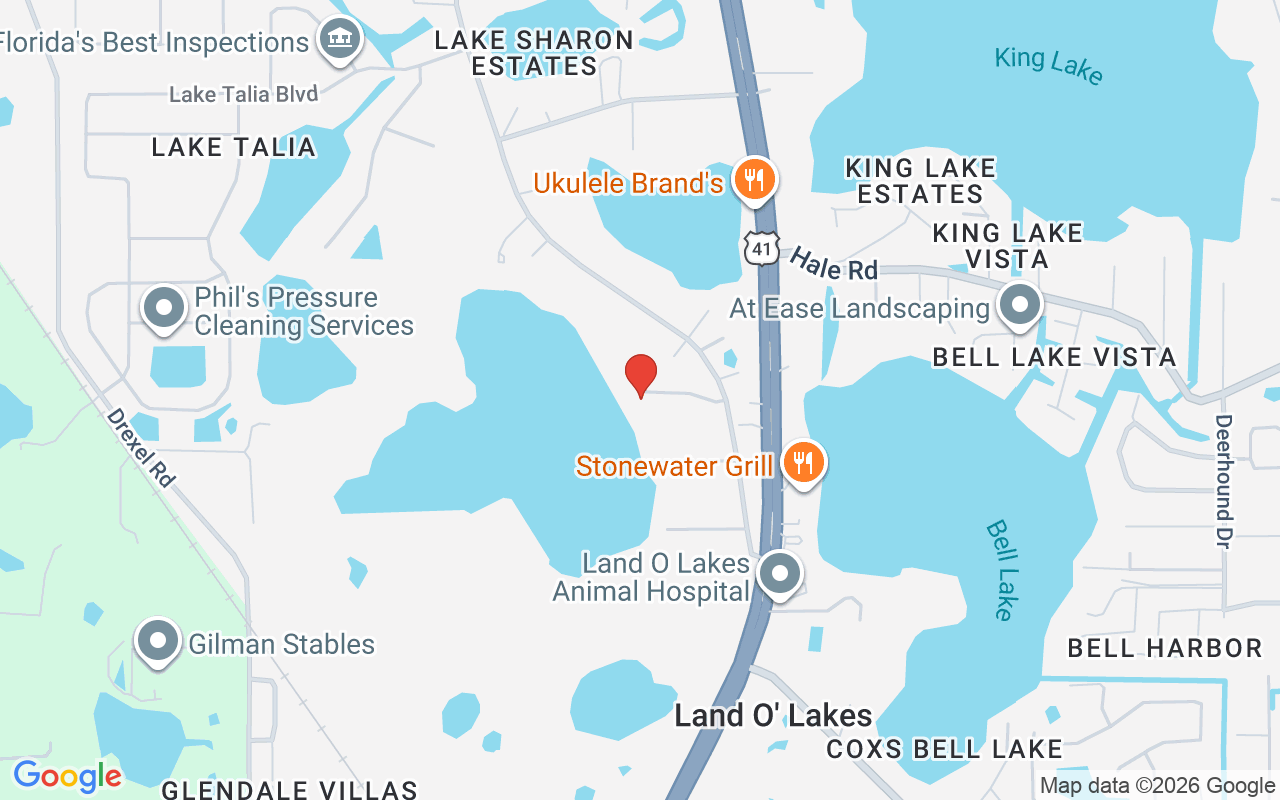4541 School Road, Land O Lakes, FL 34638