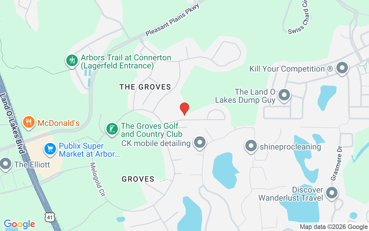 20941 Tangor Road, Land O Lakes, FL 34637