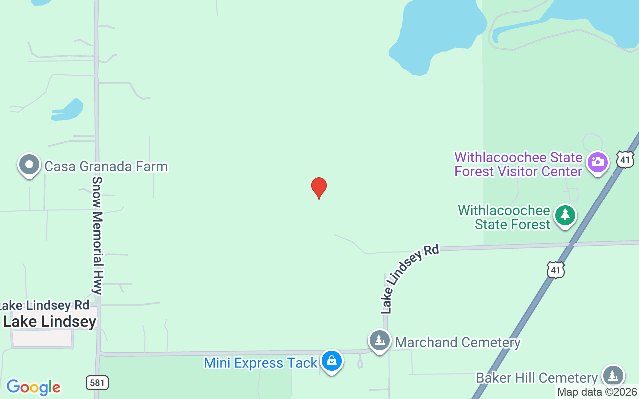 23337 Lake Lindsey Road, Brooksville, FL 34601