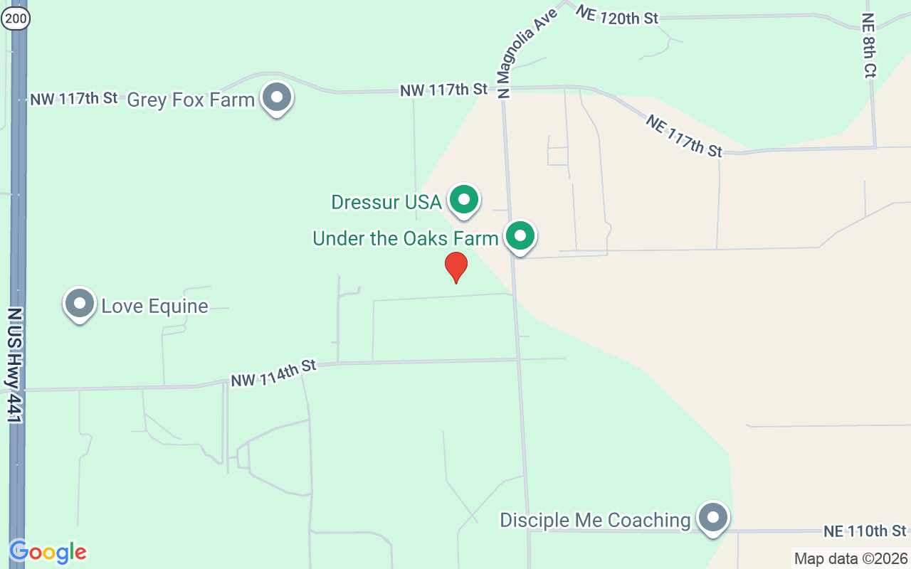 11408 Magnolia Avenue N, Ocala, FL 34475