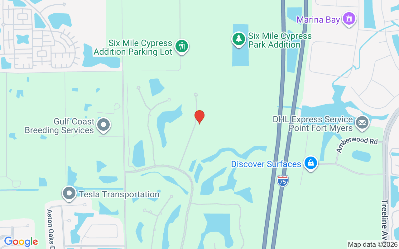 12441 Villagio Way, Fort Myers, FL 33912