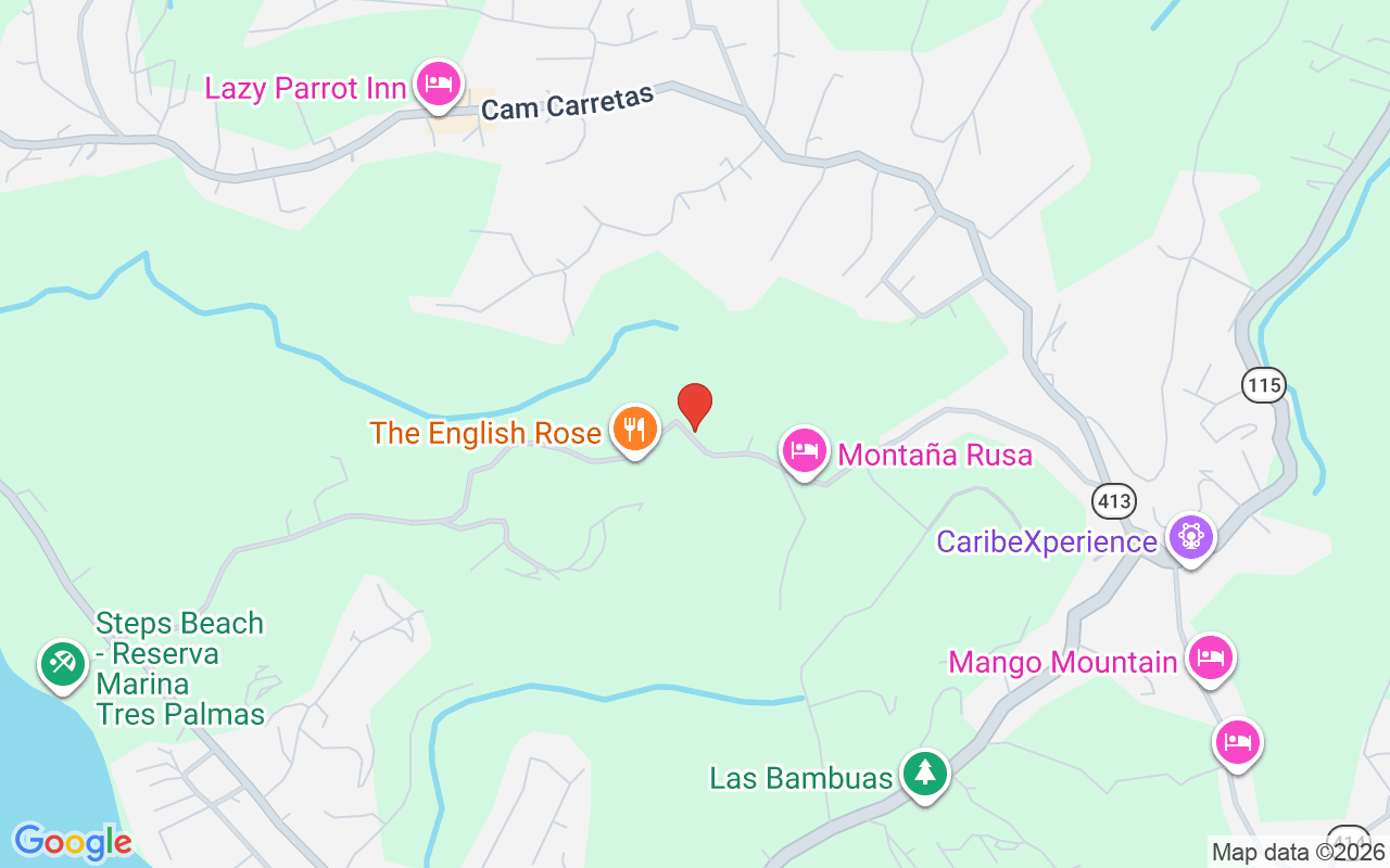 Casa Monta&ntilde;a Camino Las Pi&ntilde;as Sector La Joya, Rincon, PR 00677