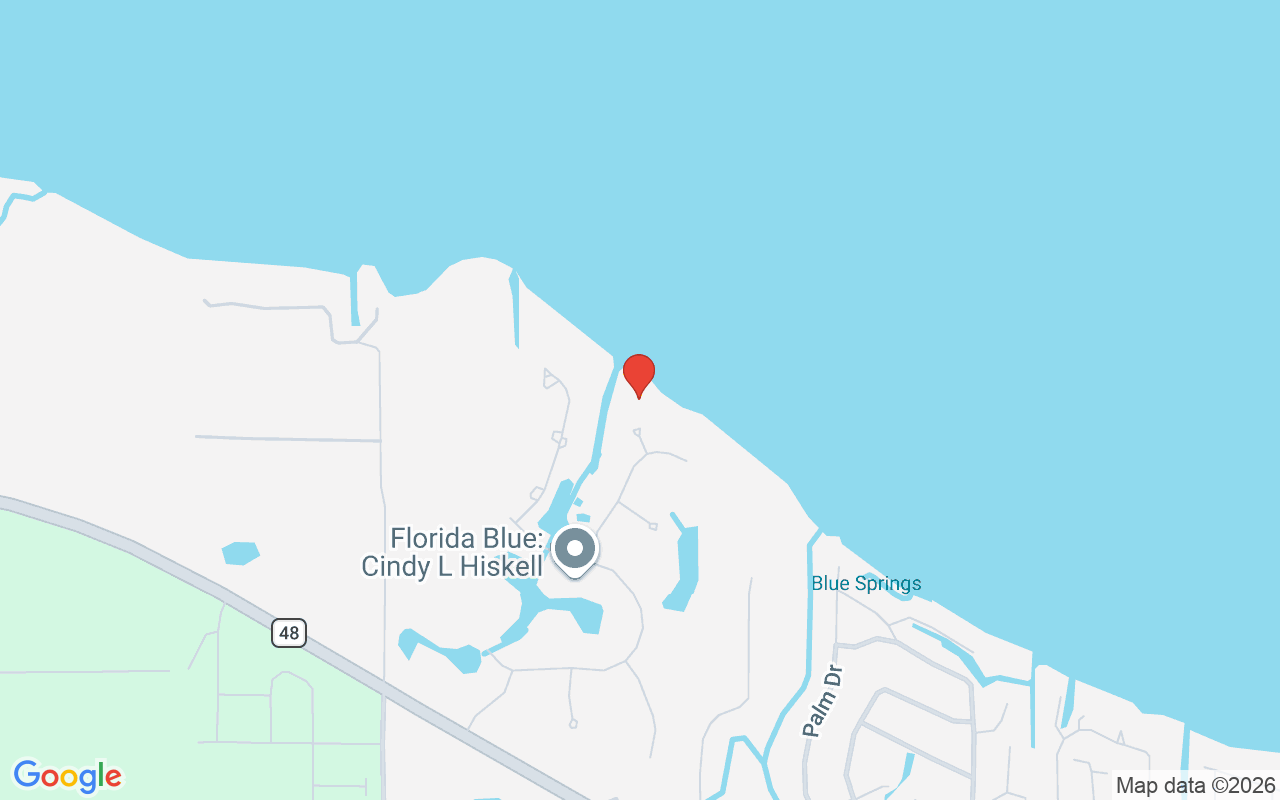 7303 Birds Nest Court, Yalaha, FL 34797