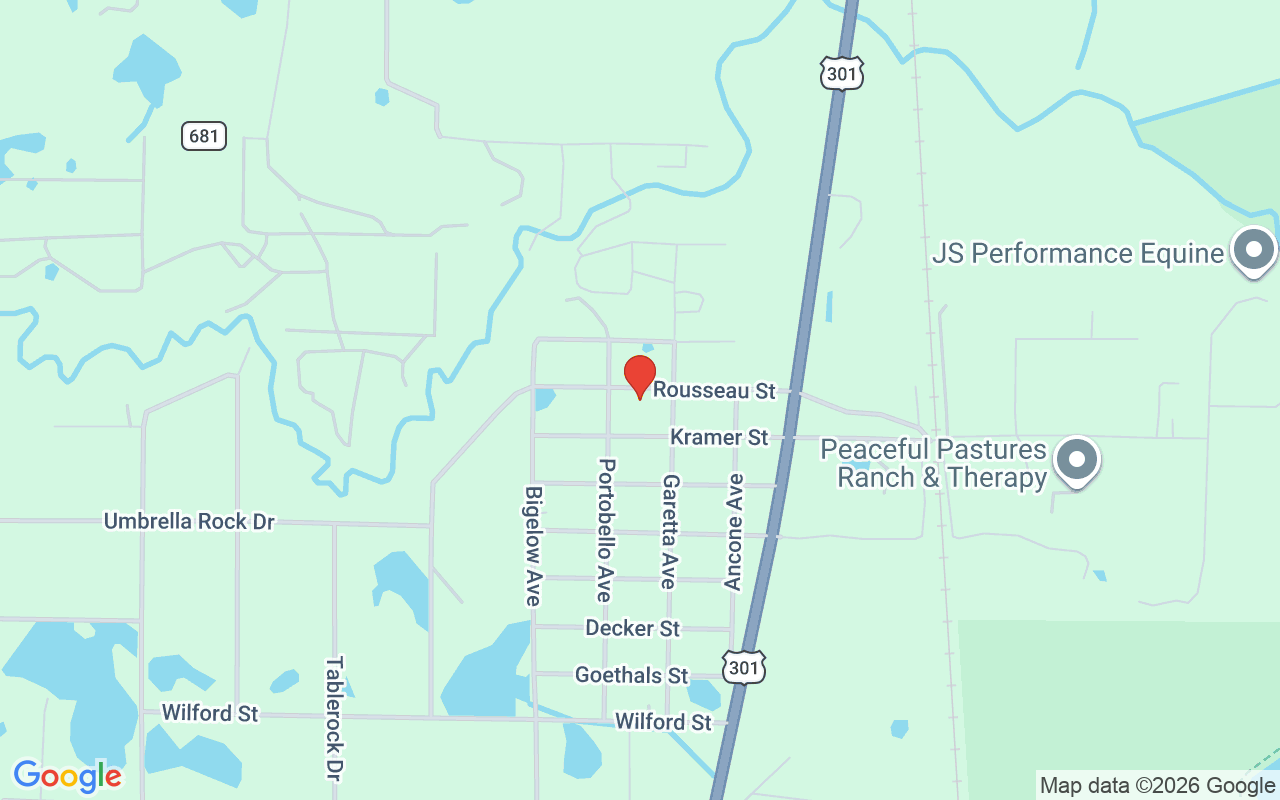 9448 Rousseau Street, Webster, FL 33597