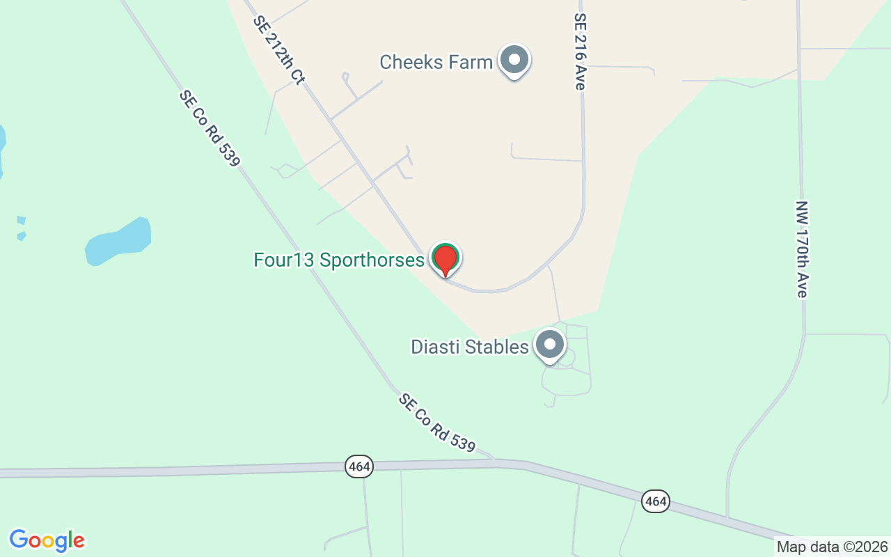 4991 212Th Court Se, Morriston, FL 32668