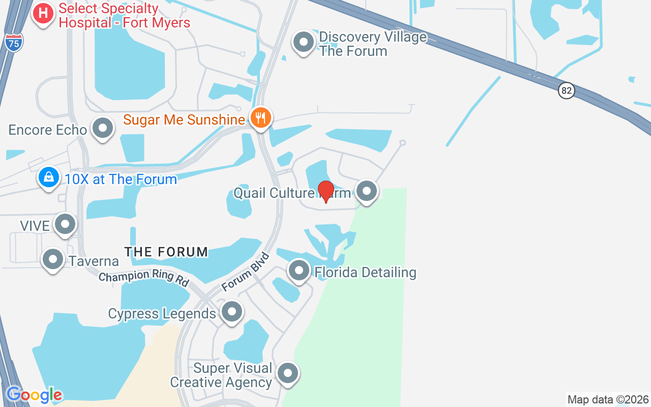 9935 Via San Marco Loop, Fort Myers, FL 33905