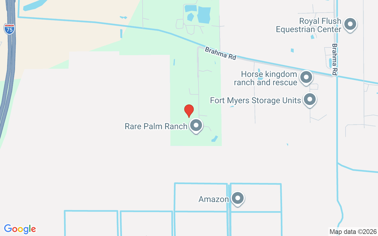 6850 Carmelita Dr, Fort Myers, FL 33905