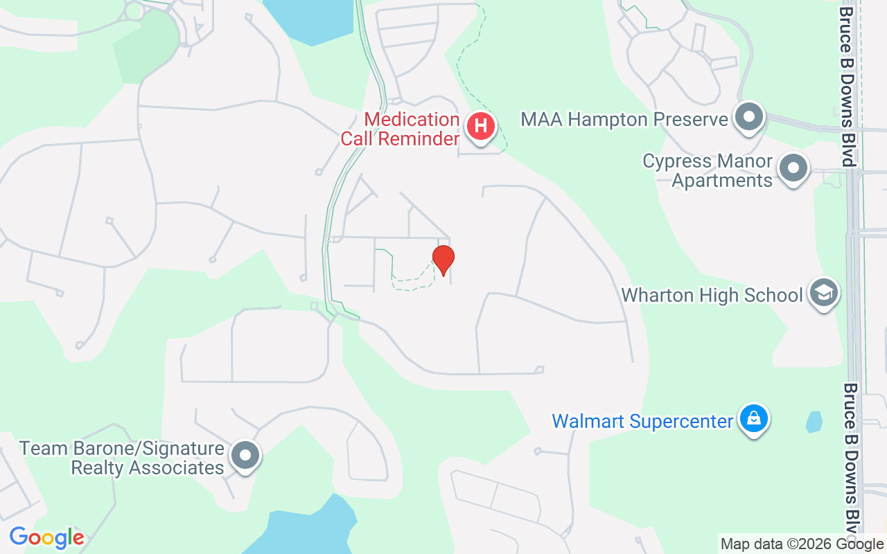 20112 Indian Rosewood Drive, Tampa, FL 33647