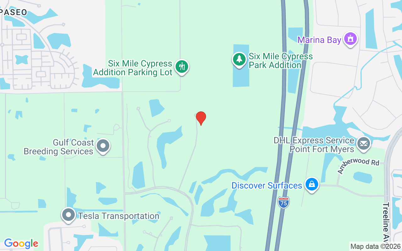 12371 Villagio Way, Fort Myers, FL 33912