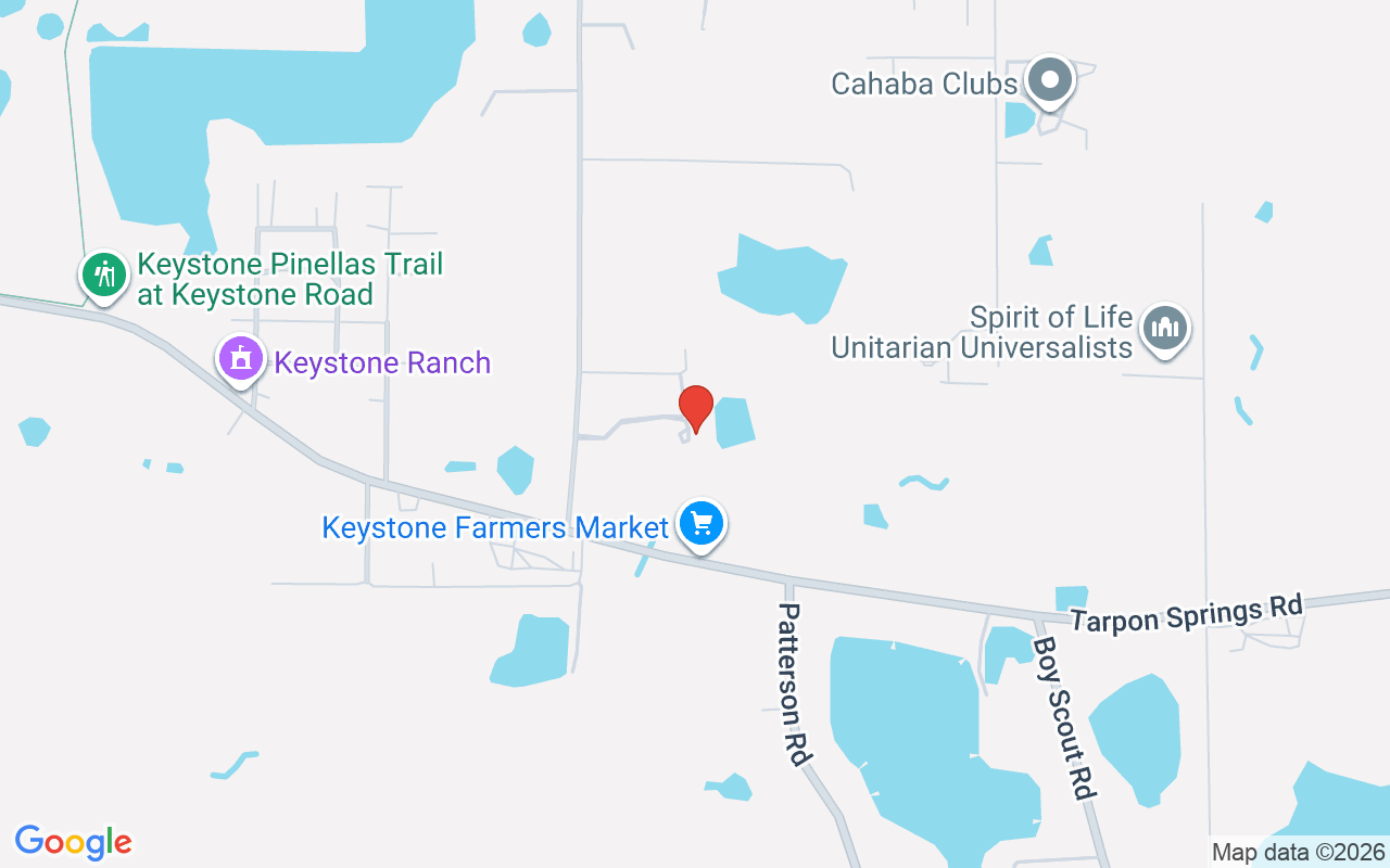 18409 Tyler Road, Odessa, FL 33556