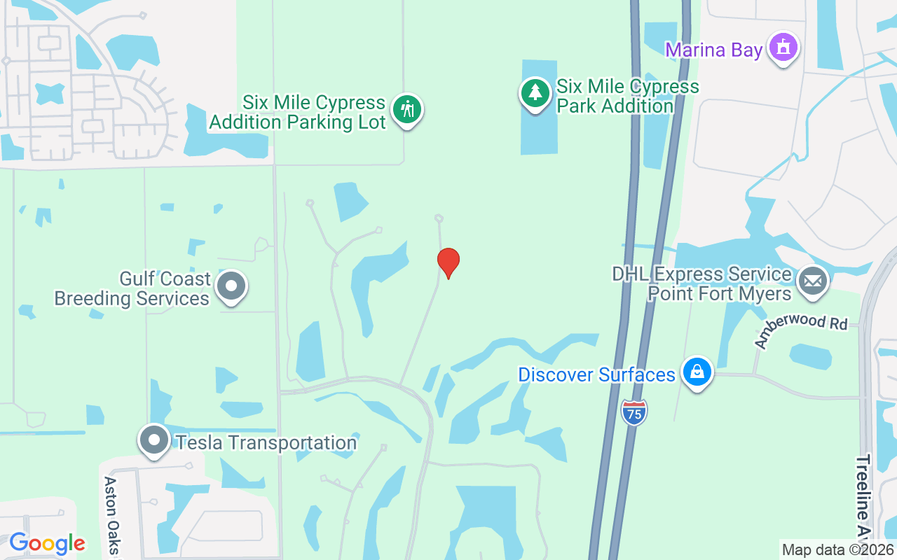 12431 Villagio Way, Fort Myers, FL 33912