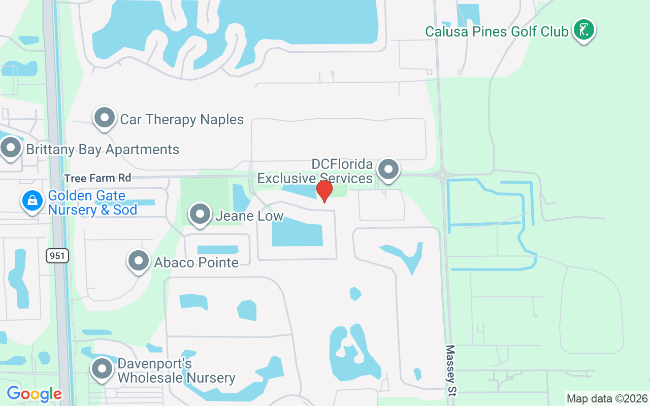 3585 Canopy Cir, Naples, FL 34120