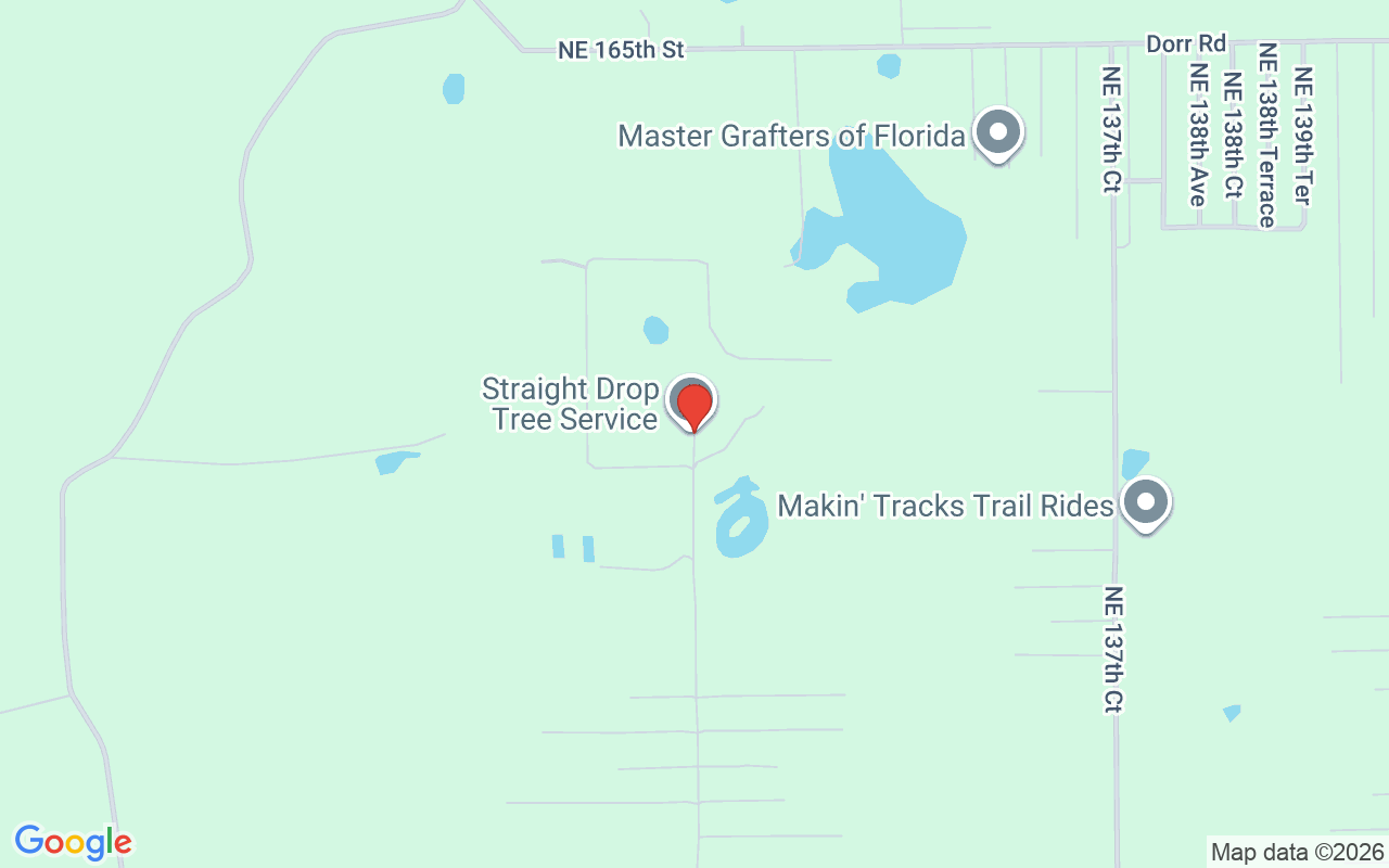 25020 132Nd Street Ne, Fort Mc Coy, FL 32134