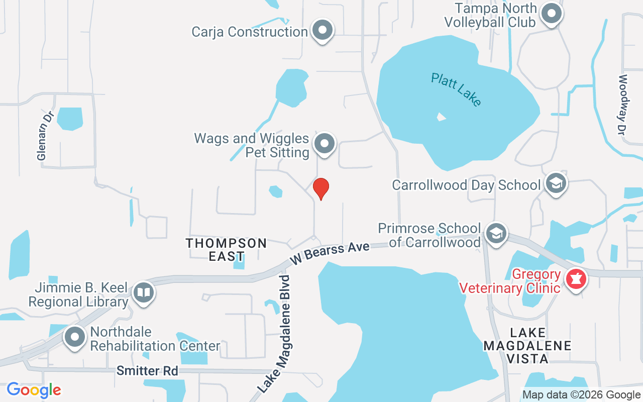 15011 Lake Emerald Boulevard, Tampa, FL 33618