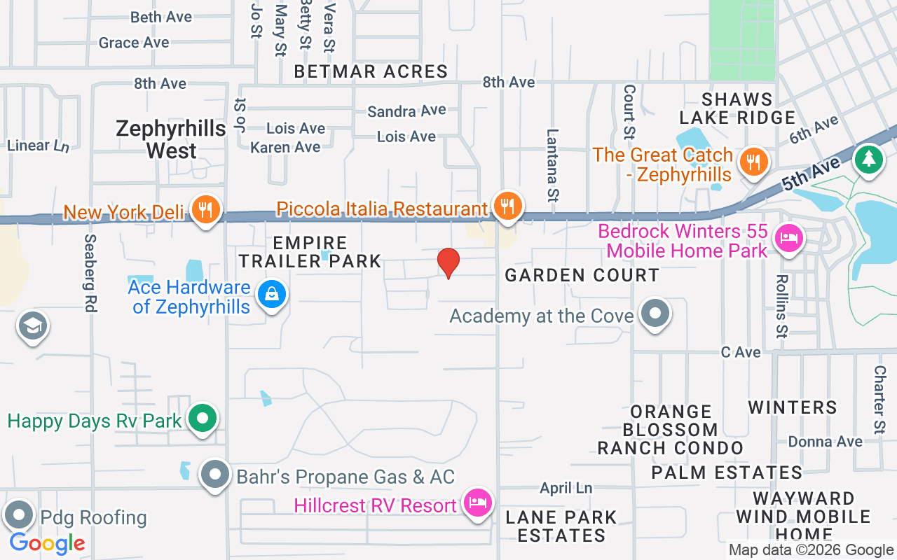 37402 Hammond Drive, Zephyrhills, FL 33541