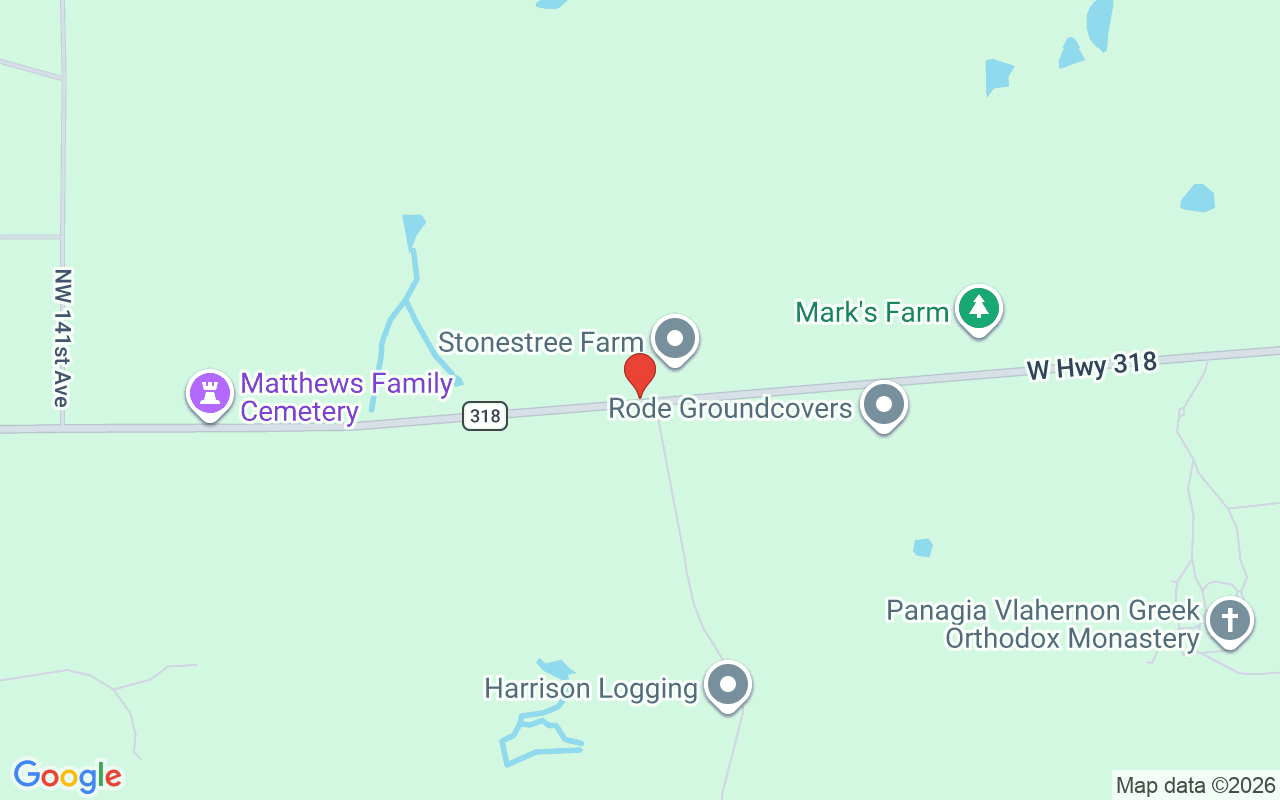 13375 Highway 318  W, Williston, FL 32696