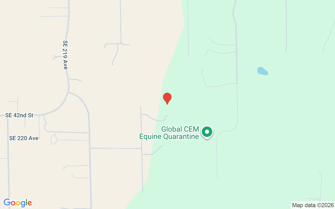 7824 167Th Court Nw, Morriston, FL 32668