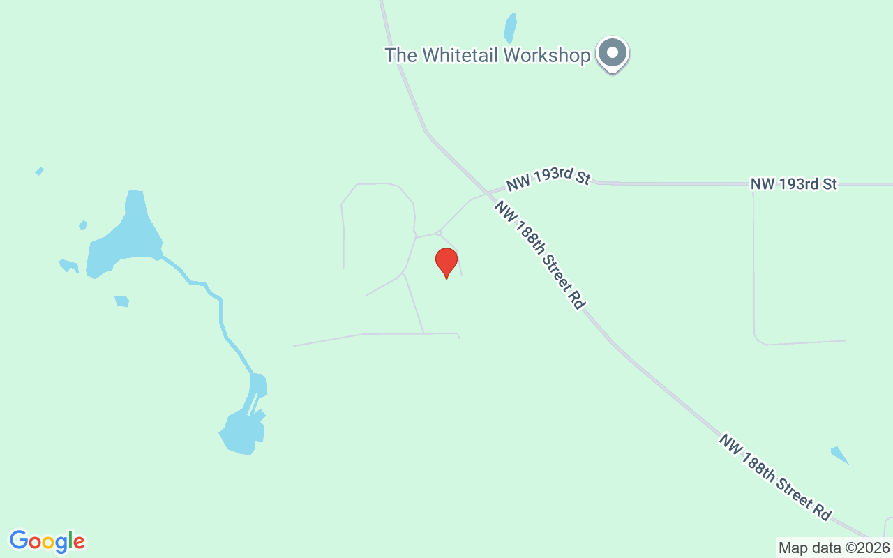 19350 123Rd Court Nw, Micanopy, FL 32667