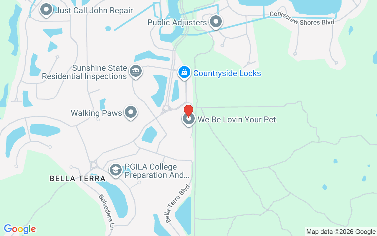 21054 Cosenza Ct, Estero, FL 33928