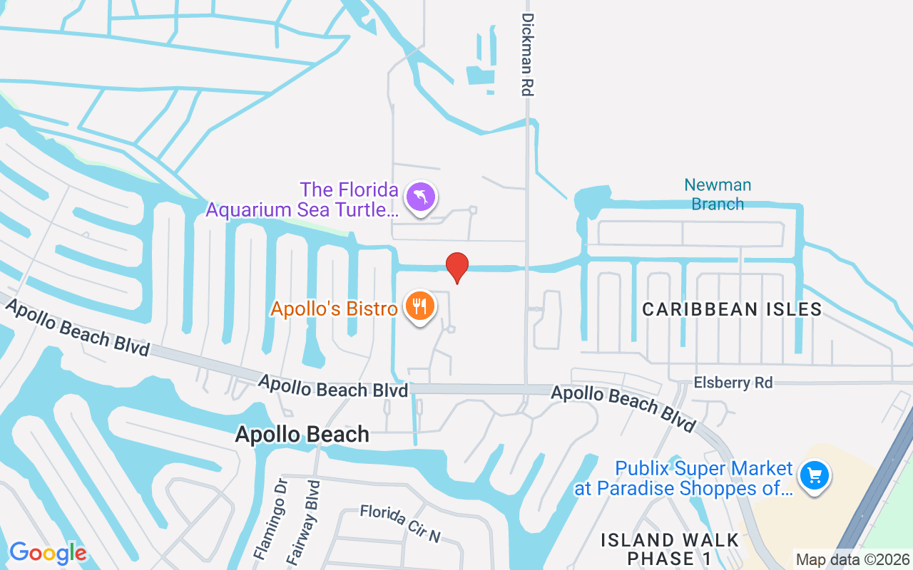 519 Treviso Drive, Apollo Beach, FL 33572