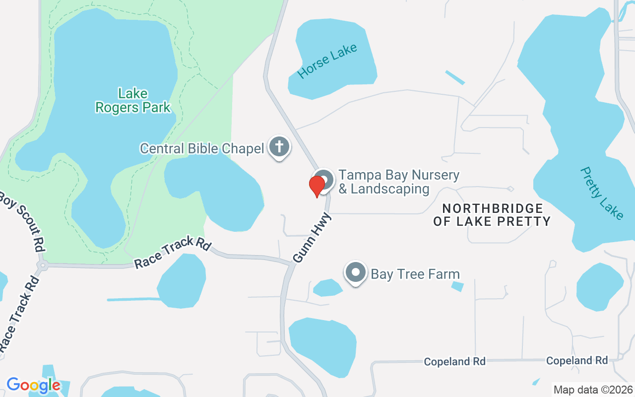 9906 Gunn Highway, Odessa, FL 33556