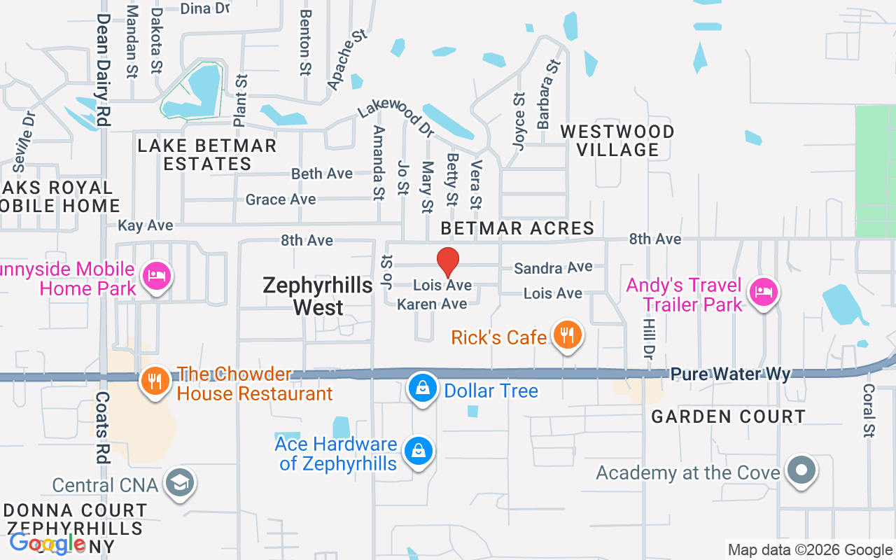 37113 Lois Avenue, Zephyrhills, FL 33542