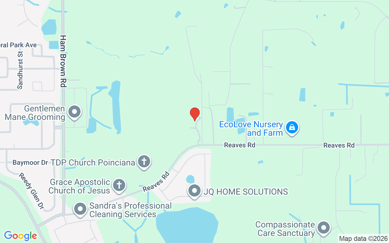 4421 Reaves Road, Kissimmee, FL 34746