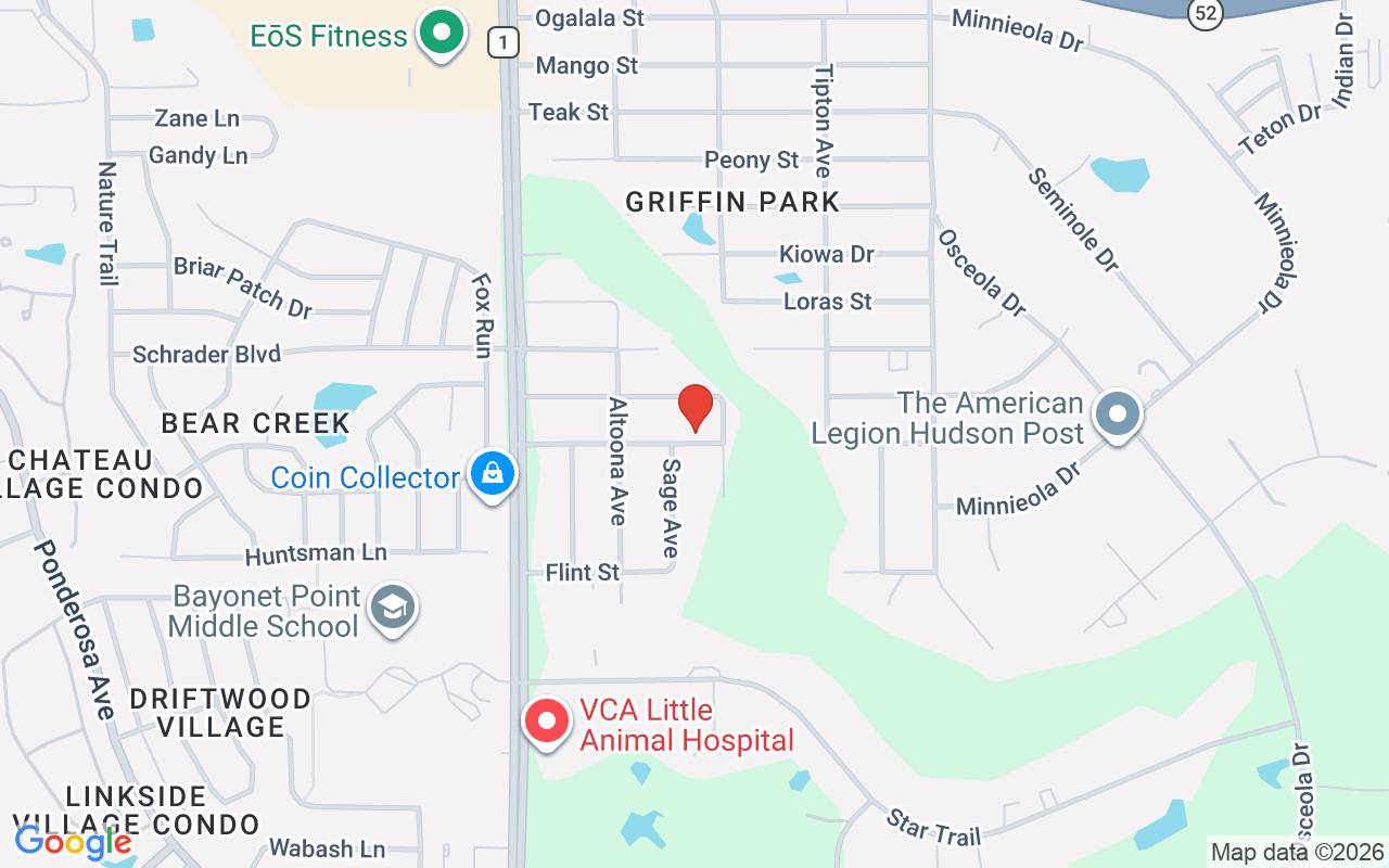 9205 Pontiac Street, New Port Richey, FL 34654